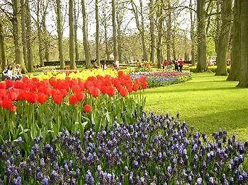 فندق ذا تاونهاوس 2*